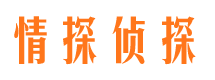 新和市私家侦探公司